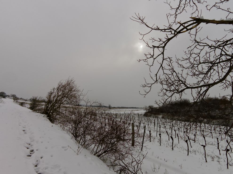 Richtung Rust