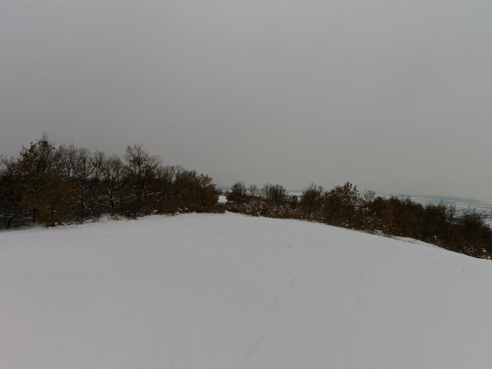 Blick vom Koglberg