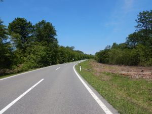 Der Donnerskirchner Berg - ich hasse ihn...